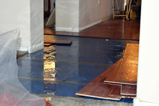 Professional Emergency Water Damage Restoration technician working in Farmington, WA